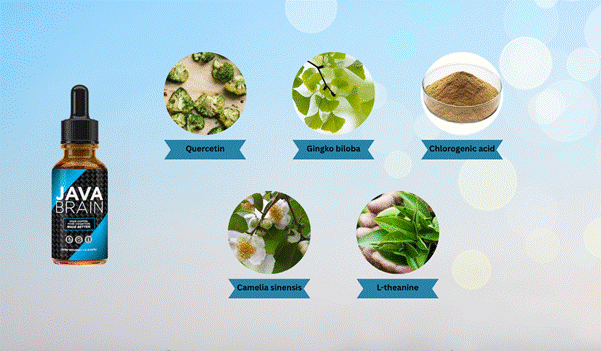 Java Brain bottle with highlighted ingredients: quercetin, ginkgo biloba, chlorogenic acid, camellia sinensis, L-theanine